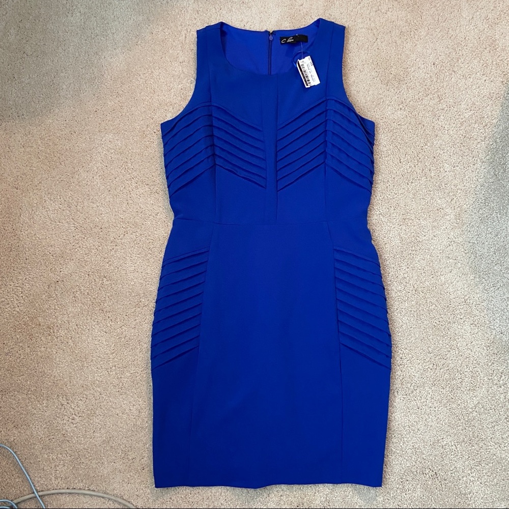 C. Price Royal Blue Dress NWT - Picture 6 of 8